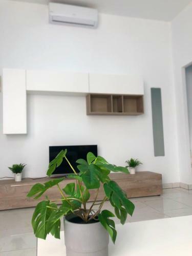Ocean View Executive N - 2 Bedroom Apartment