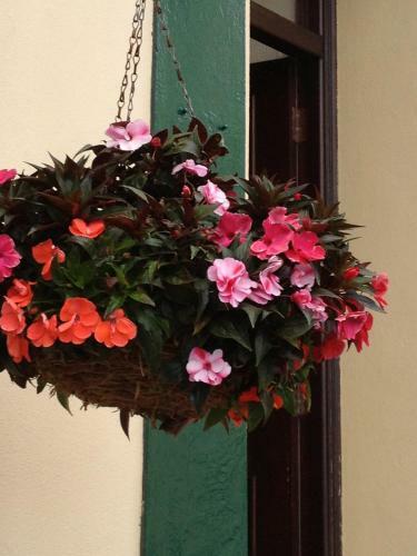 Hostal Rebleen Guest House