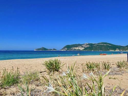 Villas Porto Odysseas Afionas Corfu