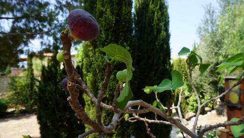Apartamento Limnaria Gardens Paphos, Near Beach