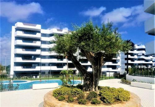 Cosy Ground Floor Apartment With Direct Access To The Pool