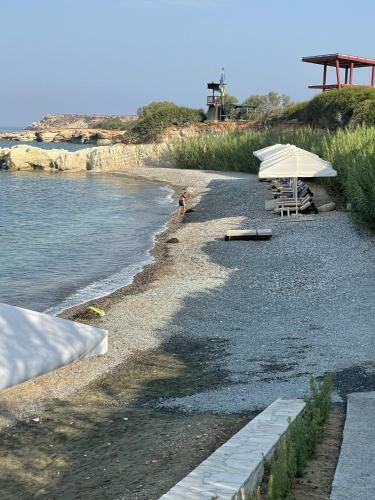 Villa #8 With Private Pool