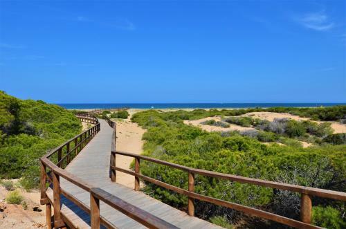 Beachfront Luxury Apartments