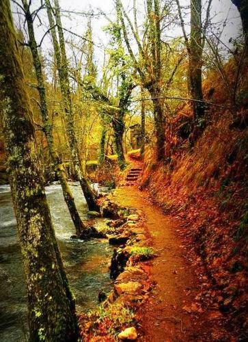 Moreiri�a- Bentraces