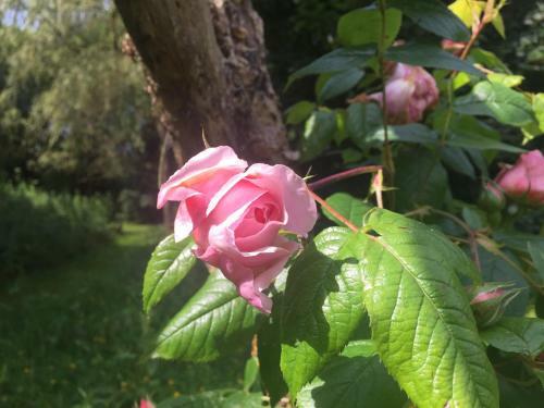 Agroturismo Blackhill Woods