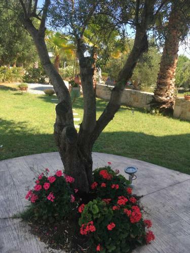 Villa Evita , Athytos Wonderful ,63m2,a/c