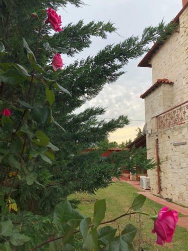 Villa Amazing Place