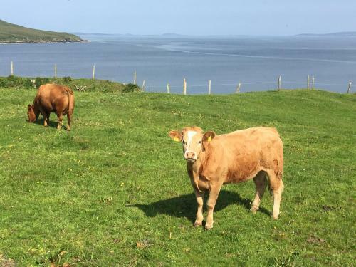 The Old Fisherman's Cottage