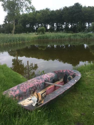 Bed & Breakfast Logies De Meerkoet