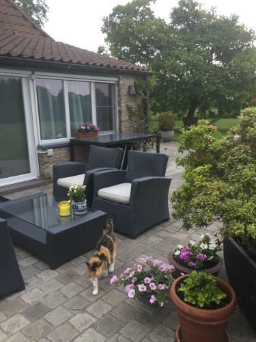Bed & Breakfast Logies De Meerkoet