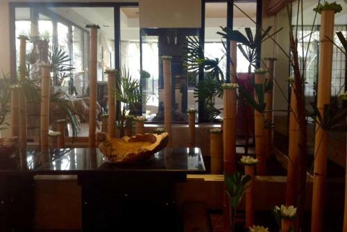 Hotel Paradiso Park