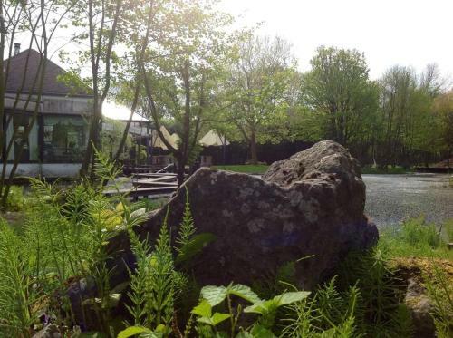 Hotel Paradiso Park