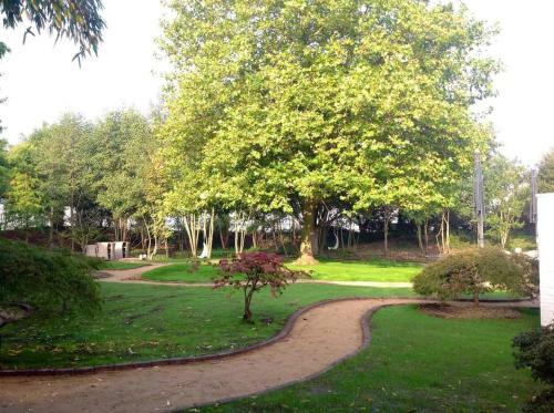 Hotel Paradiso Park