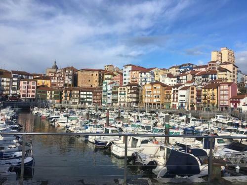 Apartamentos Urdaibai
