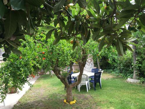 Agroturismo Casa Rural En Las Nieves
