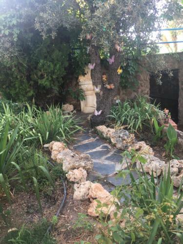 Agroturismo Casa Rural En Las Nieves
