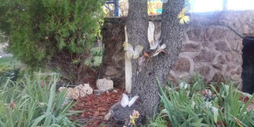 Agroturismo Casa Rural En Las Nieves