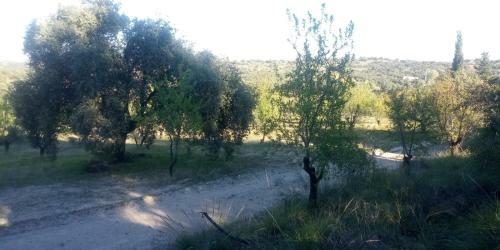 Agroturismo Casa Rural En Las Nieves