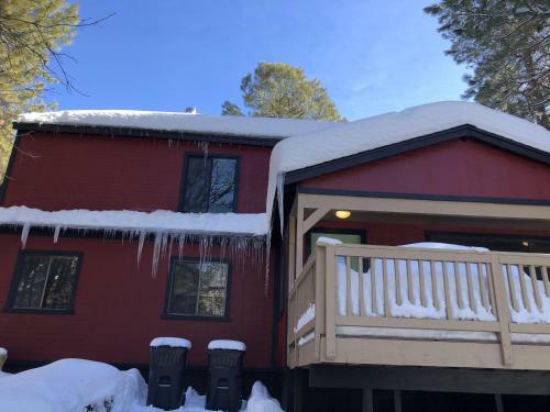 Bear Pines