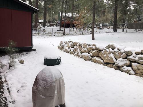 Bear Pines