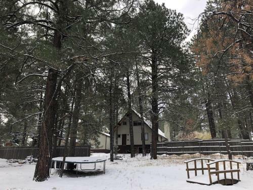 Bear Pines