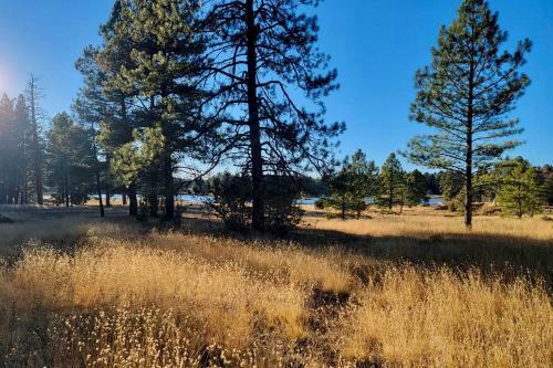 A-frame Munds Park Retreat 35 Mi To Snowbowl