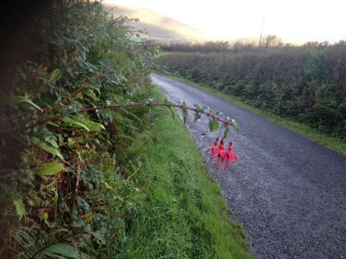 Bed & Breakfast Teac Seain Bnb.