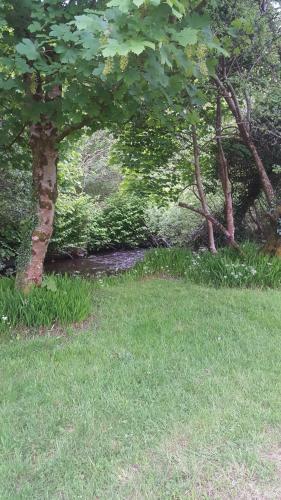 Hostal Dingle Way Glamping