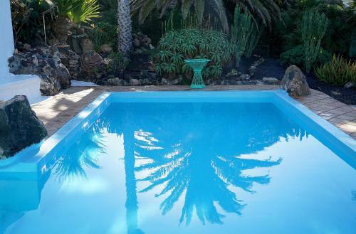 Casa Lisboa, Auf Der Finca Mimosa