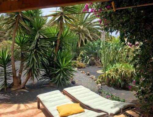 Apartamento Casa Panama,in Der Finca Mimosa
