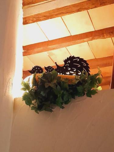 Apartamento La Tana Del Riccio