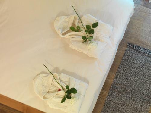 Chalet Galli