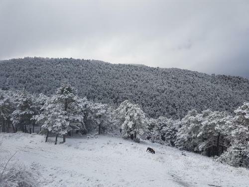 Agroturismo Acogedora Casa En La Monta�a