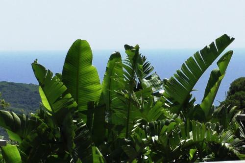 Villa Sea View, Wonderful Pool, Nature, Peaceful
