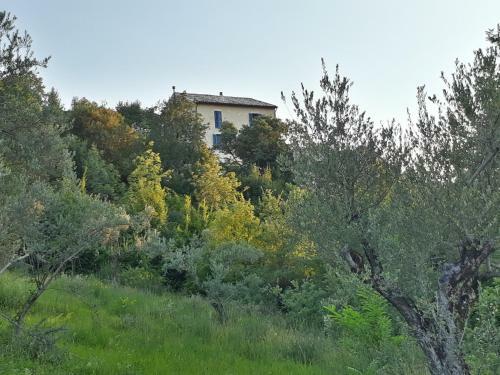 Bed & Breakfast La Casa Dalle Finestre Blu