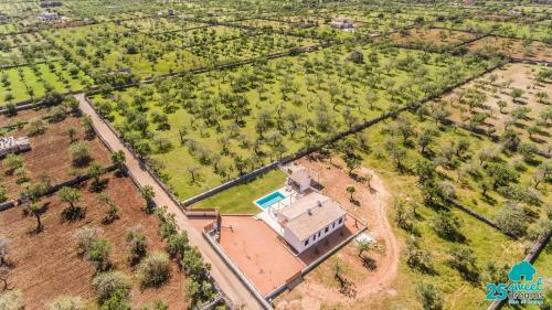 Villa Ses Nines