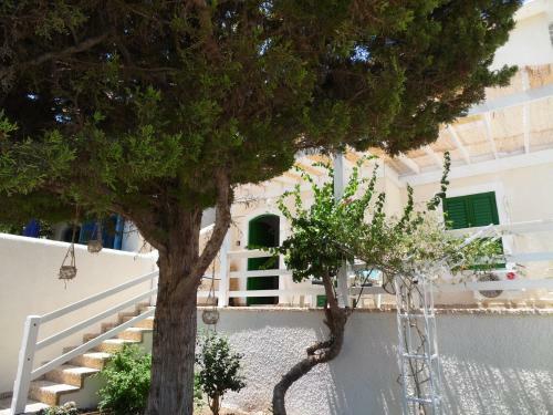 Magnolia Apartment