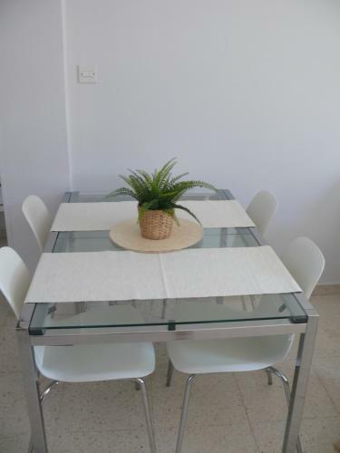 Magnolia Apartment