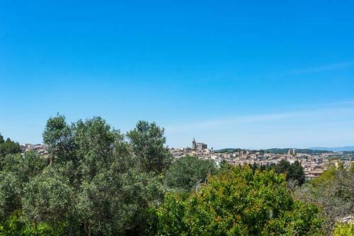 Mol� D,en Barret