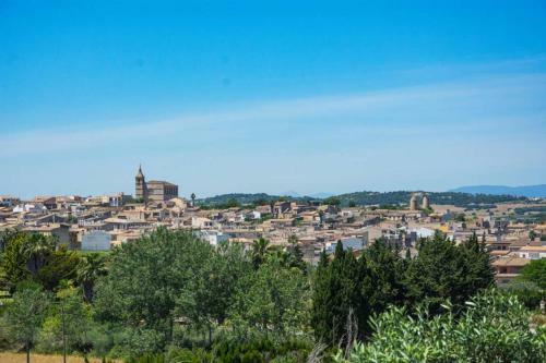 Mol� D,en Barret
