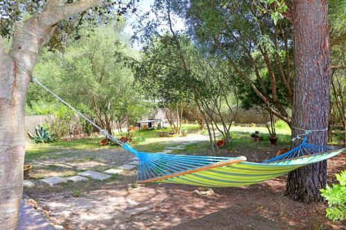 Villa Roman�