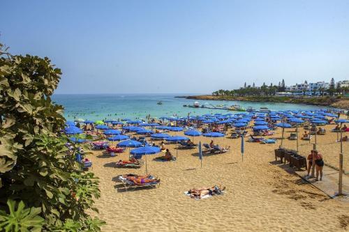 Apartamento Pallinio Court