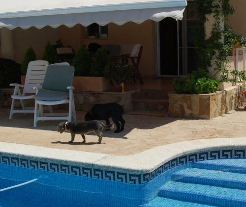 Apartamento Casa Flamenc