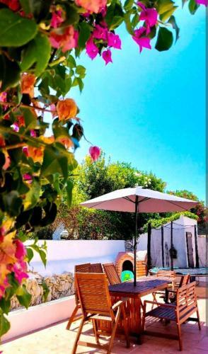 Villa Elisa