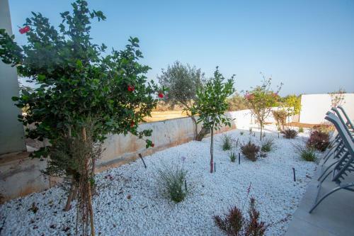 Villa Protaras Art House Seviews