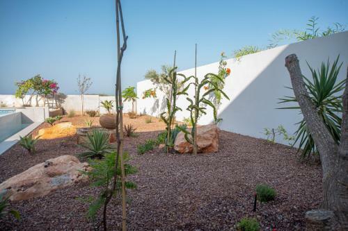 Villa Protaras Art House Seviews
