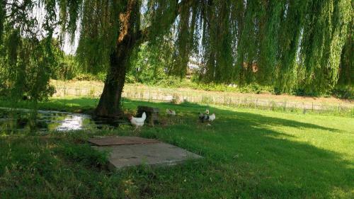 Agroturismo Agriturismo Cascina Poscallone
