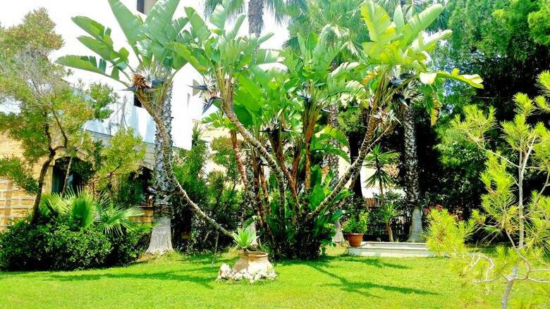 Hotel Akrabello