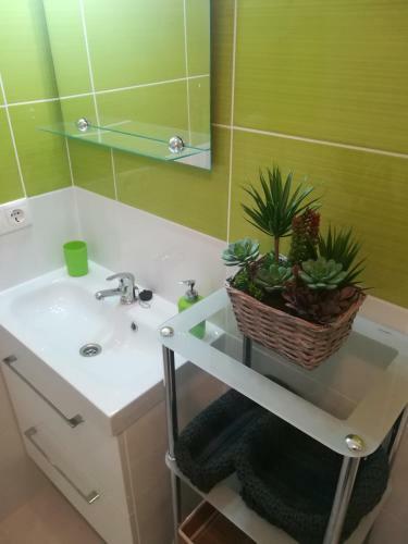 Apartamentos Cabo Roig Bellavista III