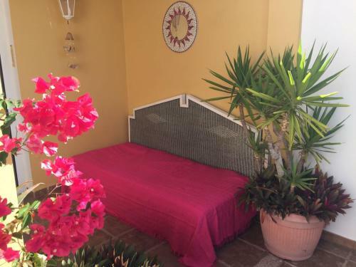 Apartamento Amanay